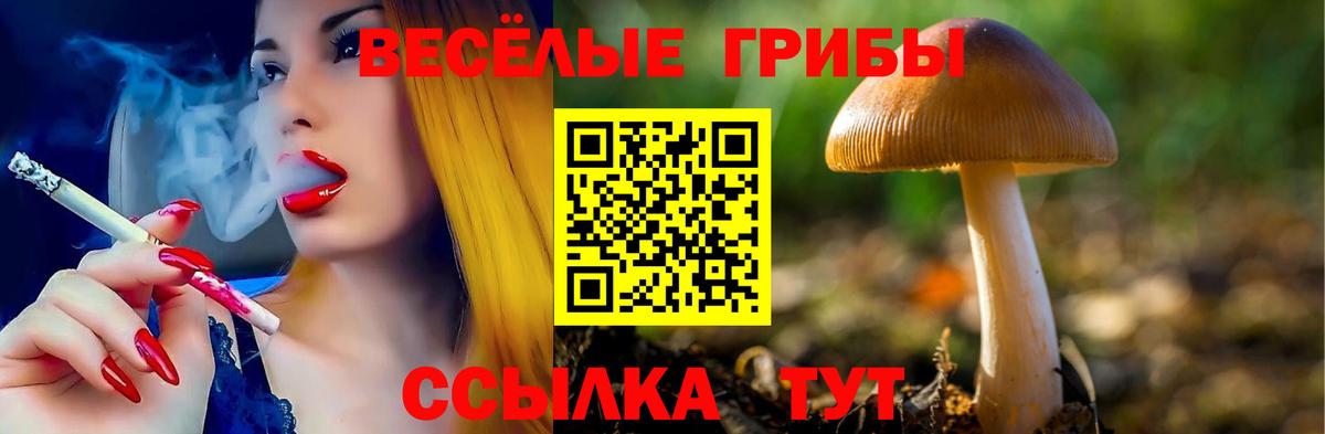 Нефтеюганск  Галлюциногенные грибы Magic Shrooms  купить  цена  Вход с VPN  Псилоцибиновые грибы Cubensis 